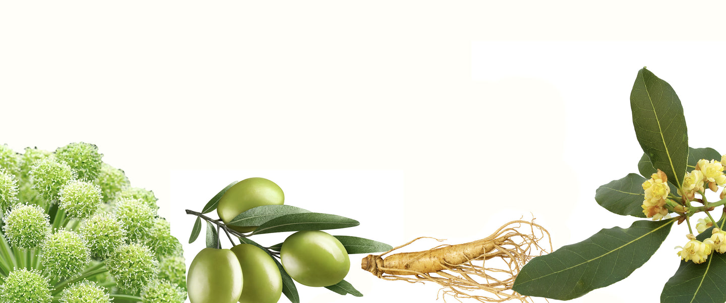 THE ANCIENT &nbspWISDOM OF EASTERN BEAUTY RITUALS MEETS MODERN SKINCARE INNOVATION