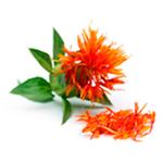 Safflower